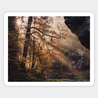 Sun Rays in Bohemian Switzerland Hrensko #8 Sticker